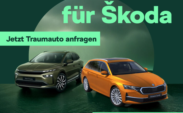  Skoda EU-Vermittler