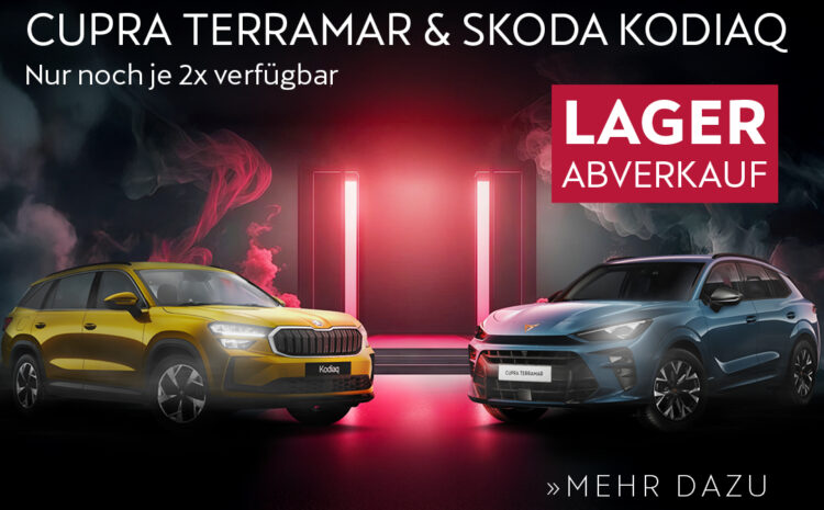  Terramar & Kodiaq Lagerabverkauf