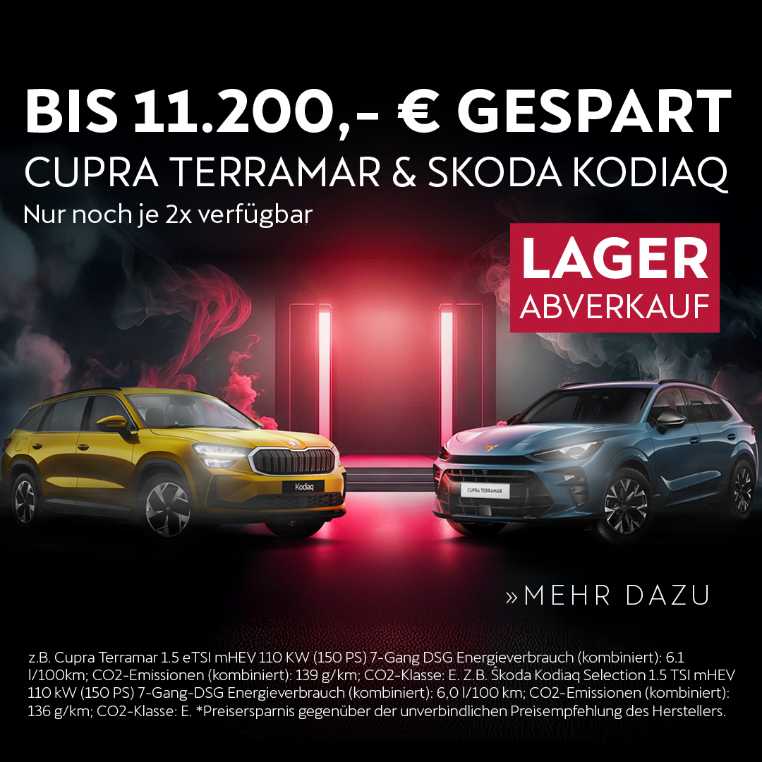 Beitragsbild Terramar Kodiaq Lagerabverkauf