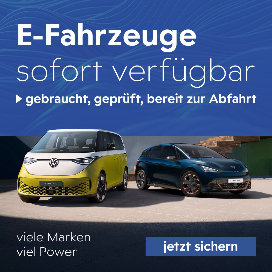 BEITRAG E-Fahrzeuge Bestand BEITRAG E-Fahrzeuge Bestand
